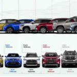 Toyota SUV by Size